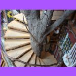 Tree Staircase.jpg